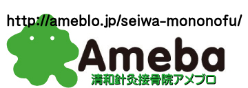ameblo 西大島 美顔鍼 ameblo