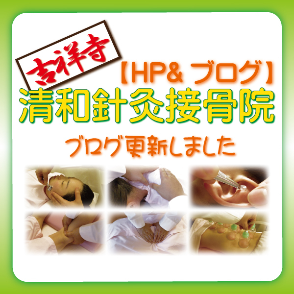 hp&blog 西大島 美顔鍼 18