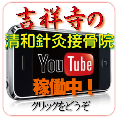 youtube 西大島 美顔鍼 19